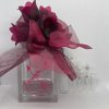 Love Struck EDP by Vera Wang