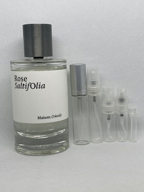 Rose Saltifolia by Maison Crivelli