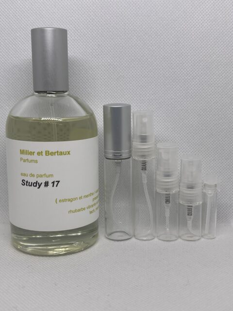 Study No. 17 by Miller et Bertaux